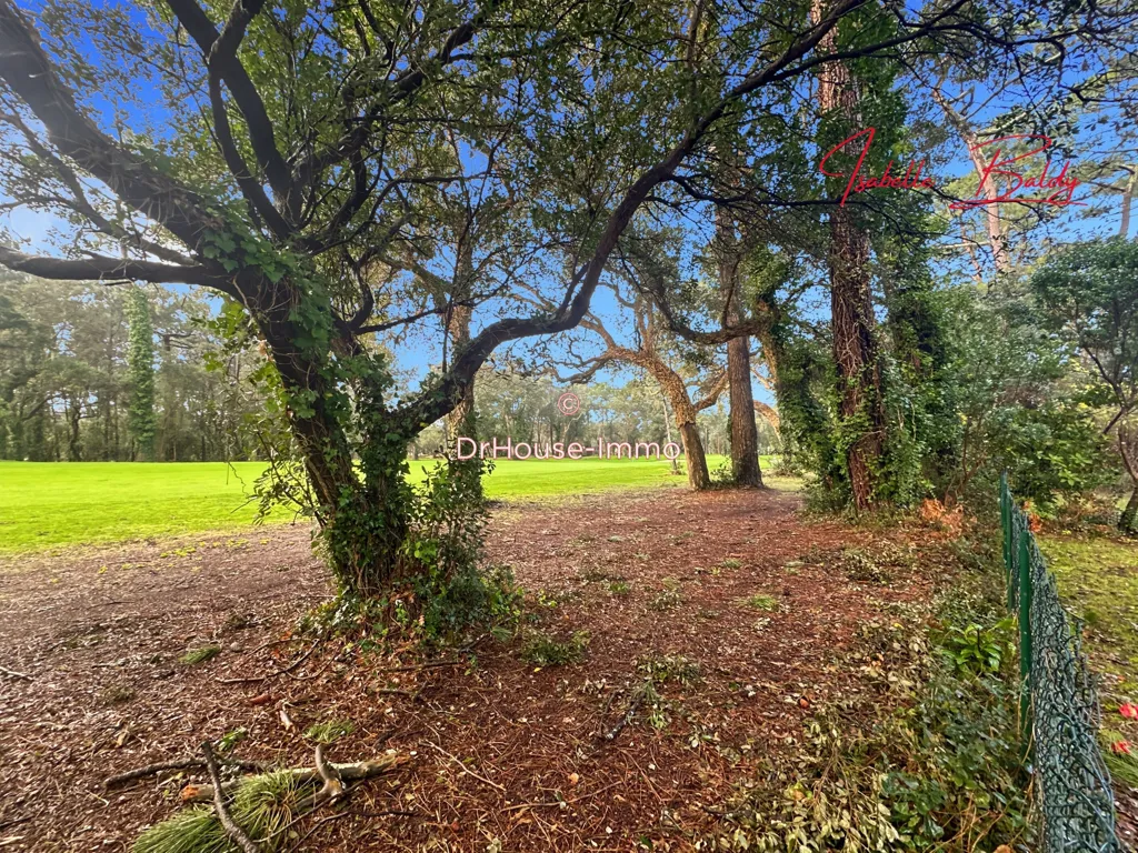 Jardin - Rez-de-jardin avec Jardin au Golf d'Hossegor