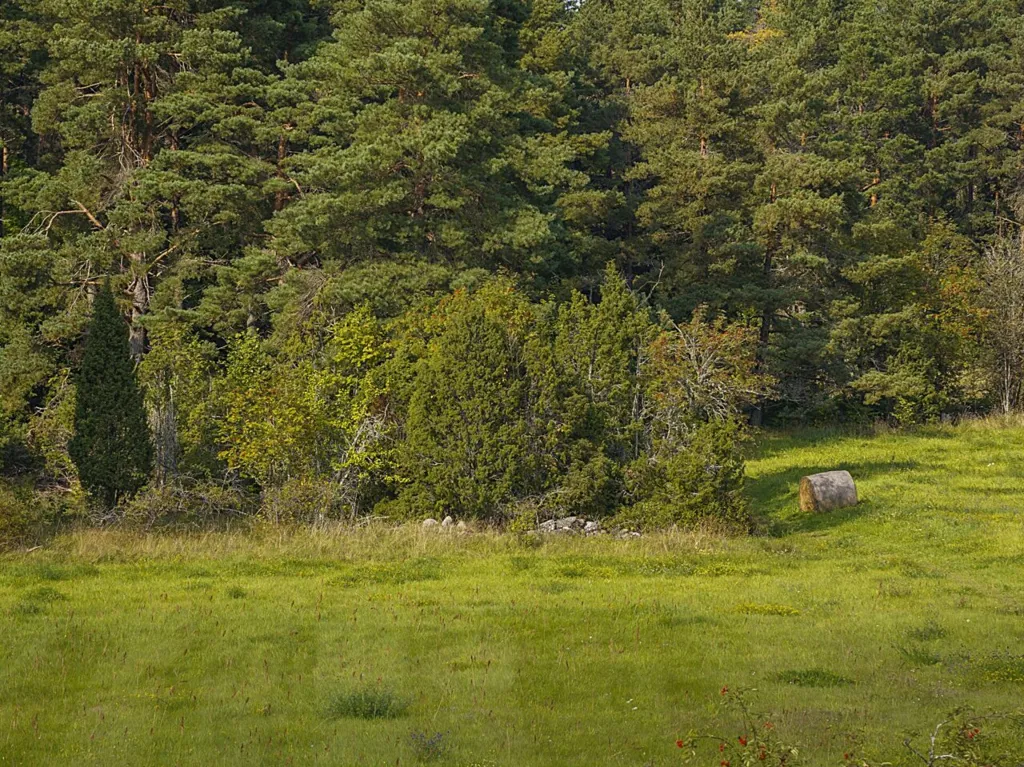 Jardin - Plot with Potential for Cottage in Meiuste