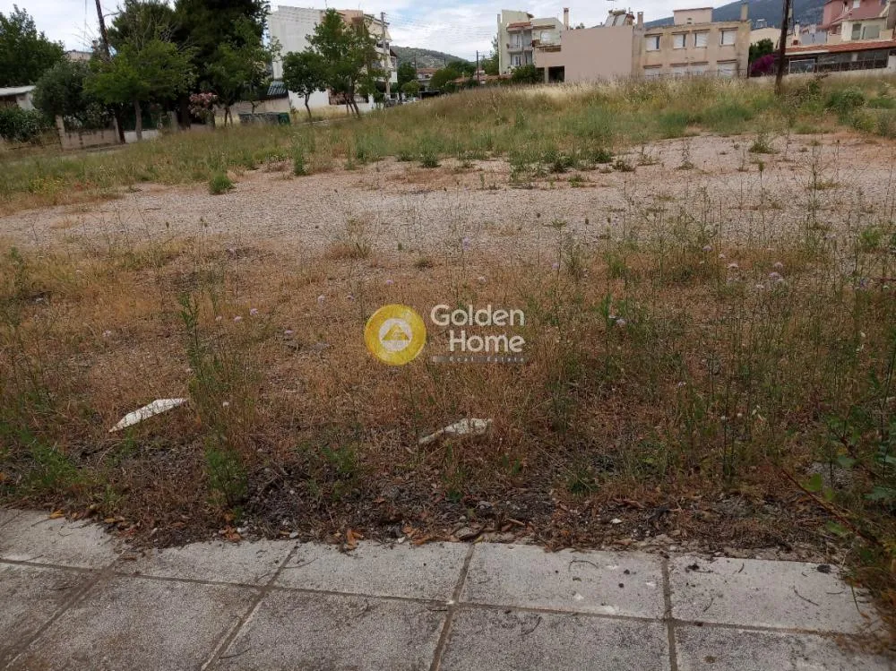 Jardin - Buildable Plot with Unrestricted View in Ano Liosia