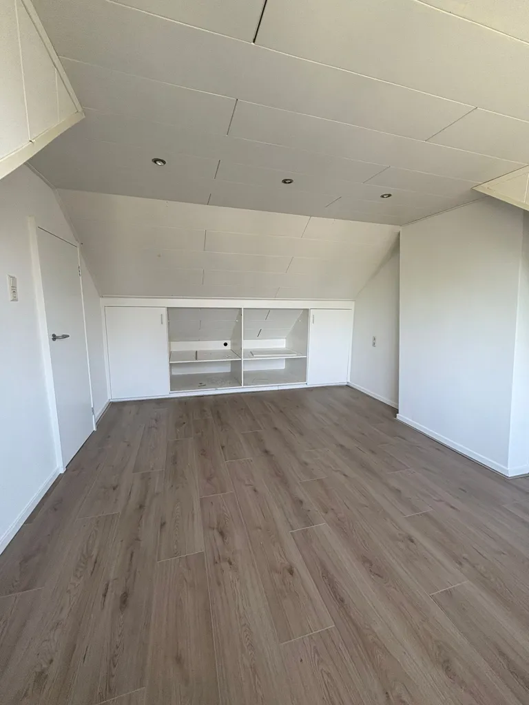Toad - Partially Renovated House with Garden in Eindhoven