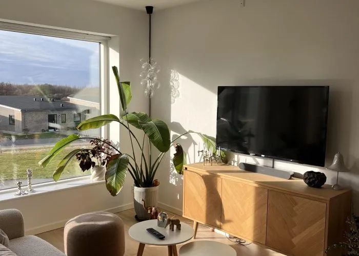 Living Room - 3-Bedroom Apartment with Balcony in Hasselager