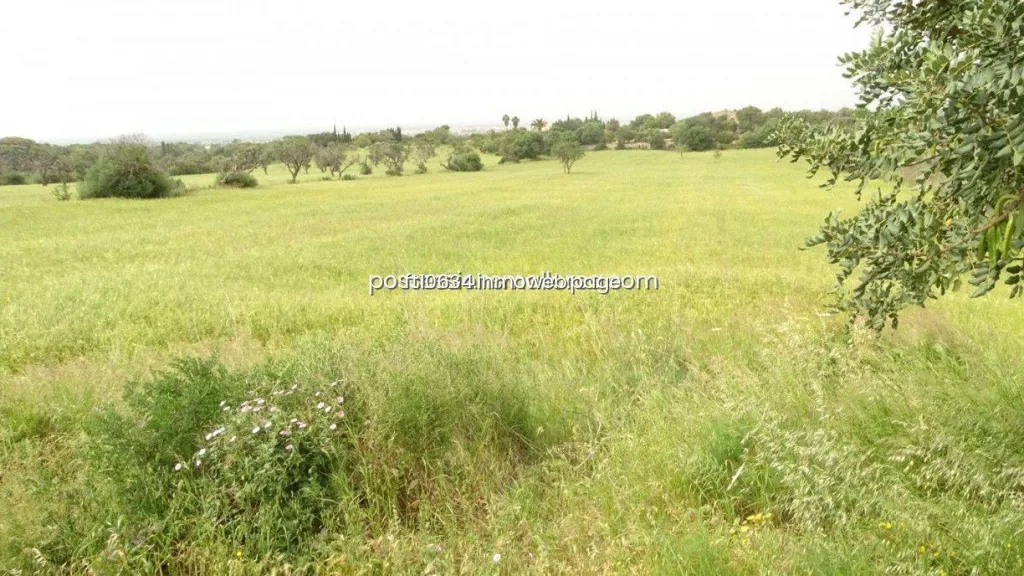 Garden - Rustic Plot with Panoramic Views in Llucmajor