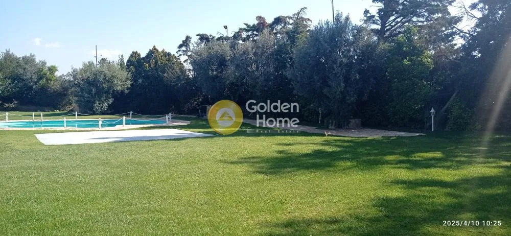 Aed - Business Premises with Pool in Korydallos