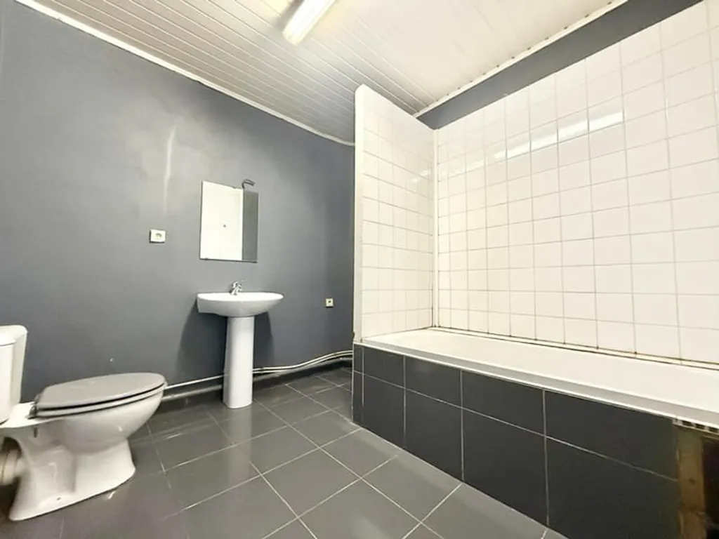 Vannitoad - Spacious House to Renovate in Seraing