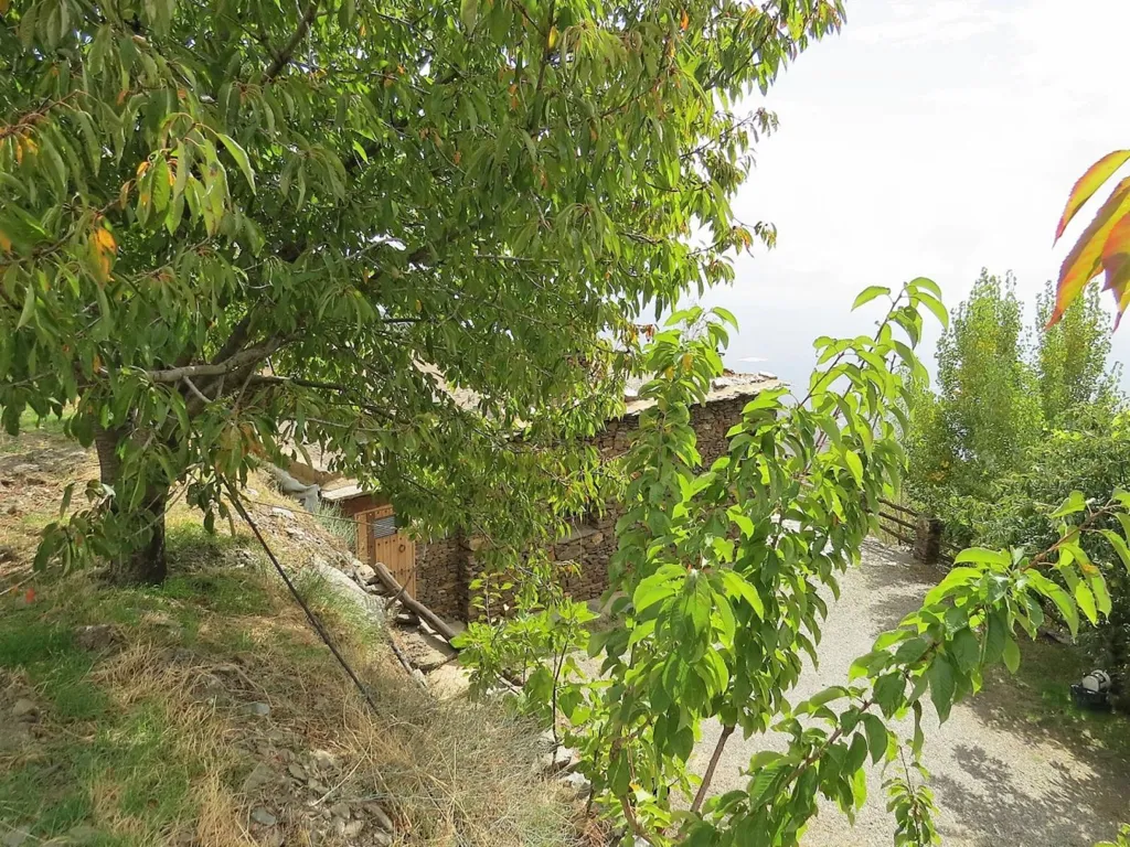 Giardino - High-Quality Mountain Cortijo with Spring in Válor