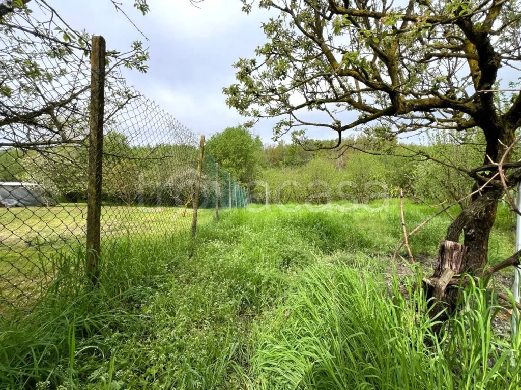 Jardin - Rustic Villa with Private Garden in Canale