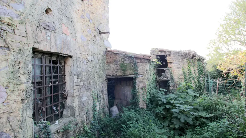 facade