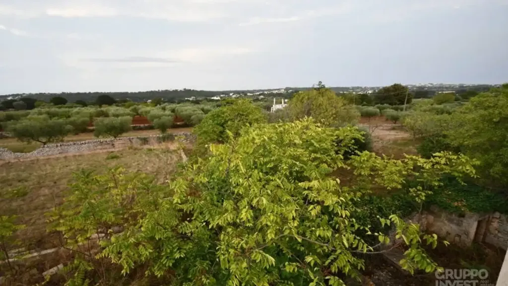 Jardin - Restoration Villa with Garden in Cisternino