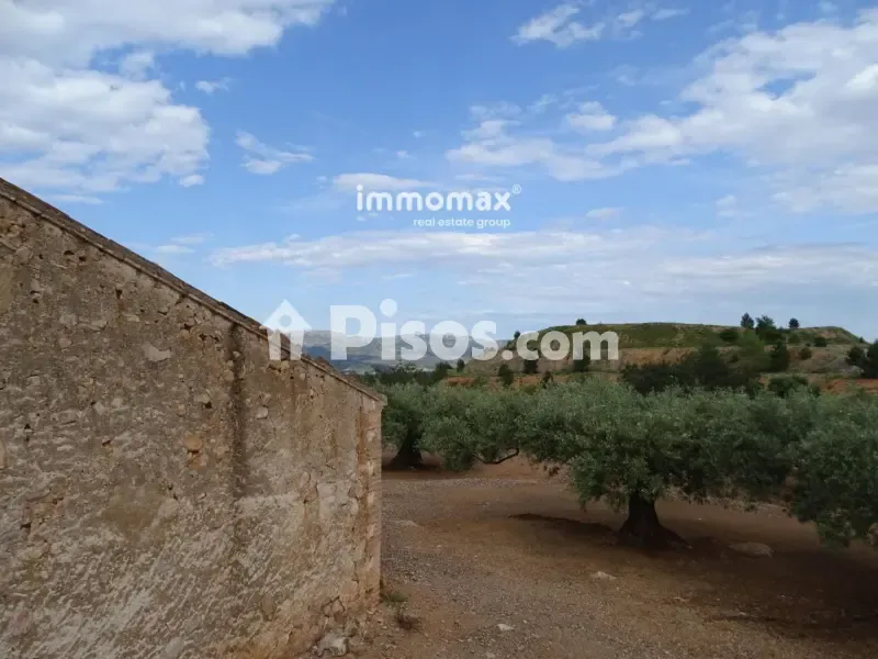 Aed - Rustic Farm with Olive Grove in Xerta