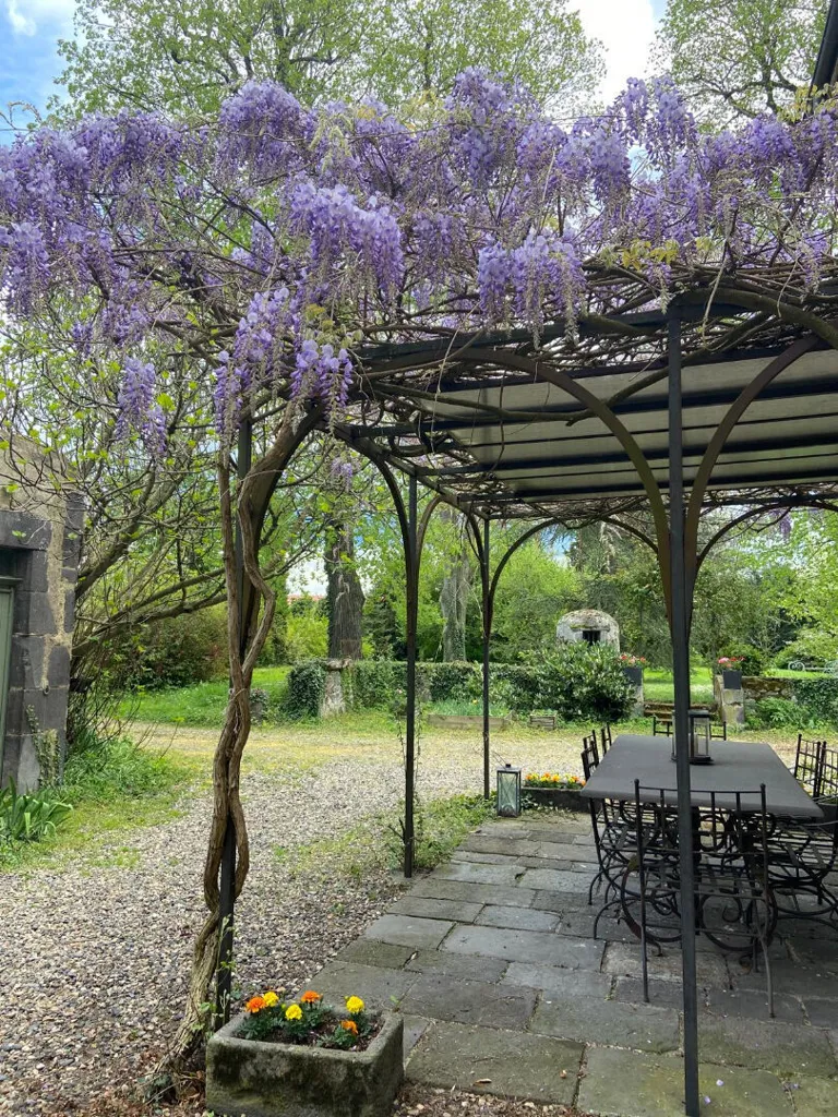 Terrasse - Demeure de Charme avec Parc à Riom