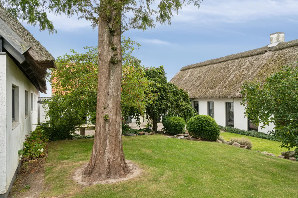 Jardin - Villa with Nature View on Falster