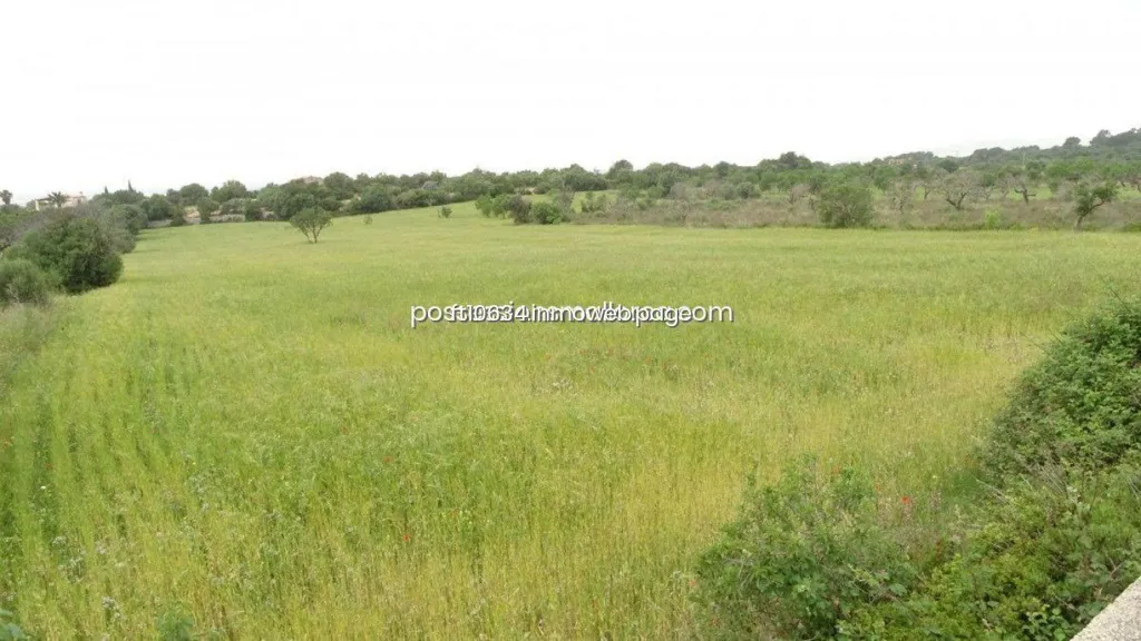 Garden - Rustic Plot with Panoramic Views in Llucmajor