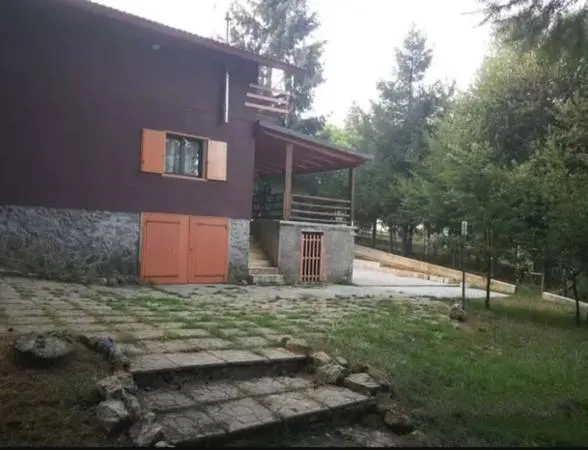 Välivaade - Rustic Villa with Private Pinetum in Domanico