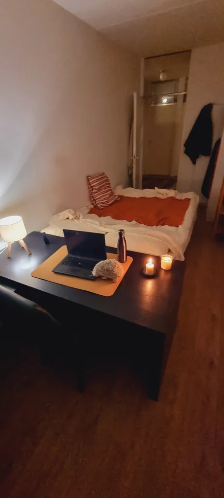 Magamistoad - Temporary Room in Shared Flat, Diemen