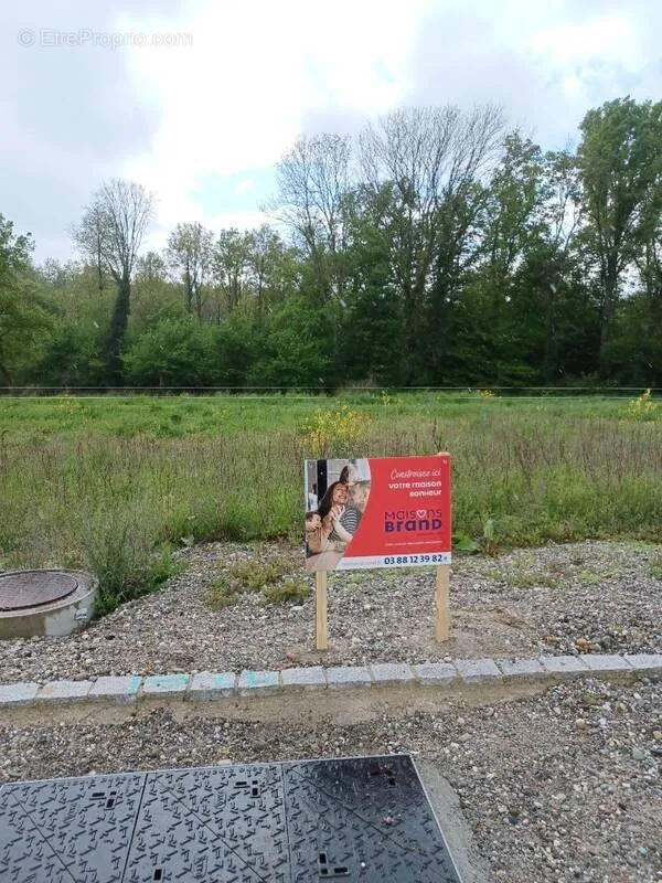 Aed - Constructible Plot with Green Space in Leutenheim