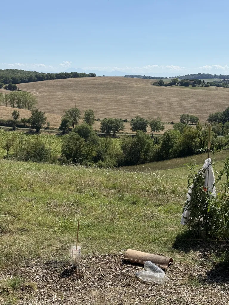 Jardin - Terrain avec Vue sur les Pyrénées Viabilisé