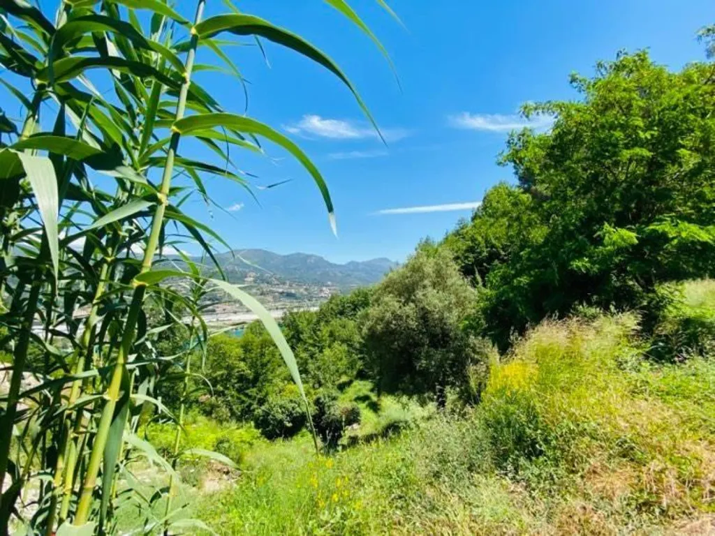 Aed - Serviced Plot with Architect's PC in Le Broc