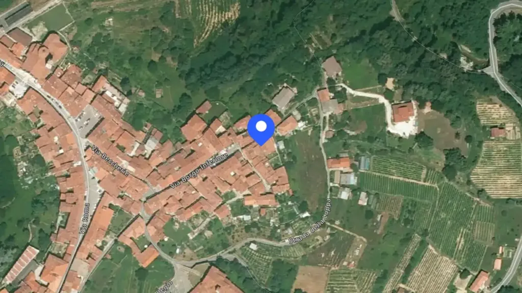 Aerial - Multi-Level Apartment with Garden in Masserano