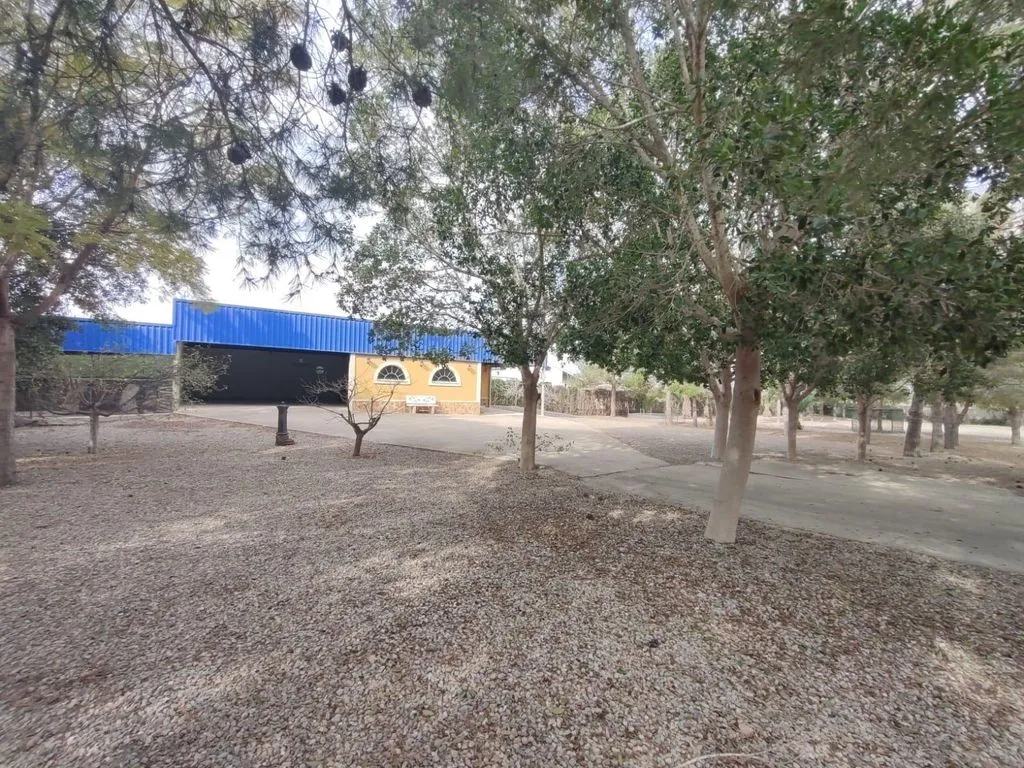 Jardin - Luxury Villa with Private Pool in Orihuela