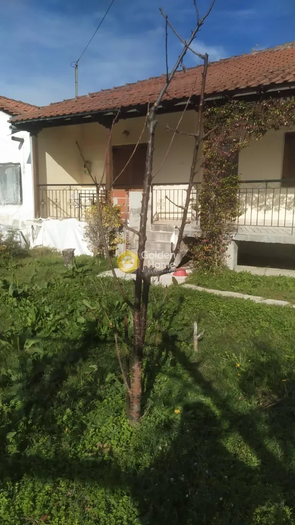 Jardin - Operational Villa with Mountain View in Terpillo, Kilkis