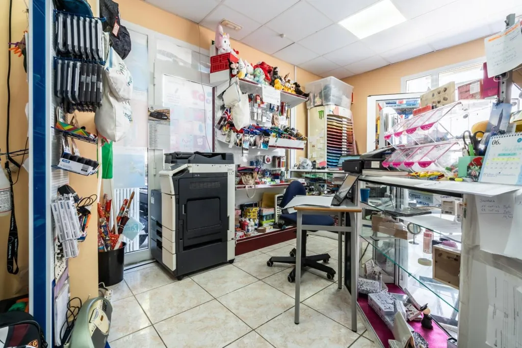 Toad - Established Paper Shop in Cabo Blanco, Arona