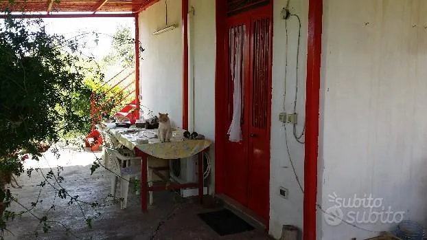 Terrasse - Villa with Orange Grove in Castelluccio Vicinity
