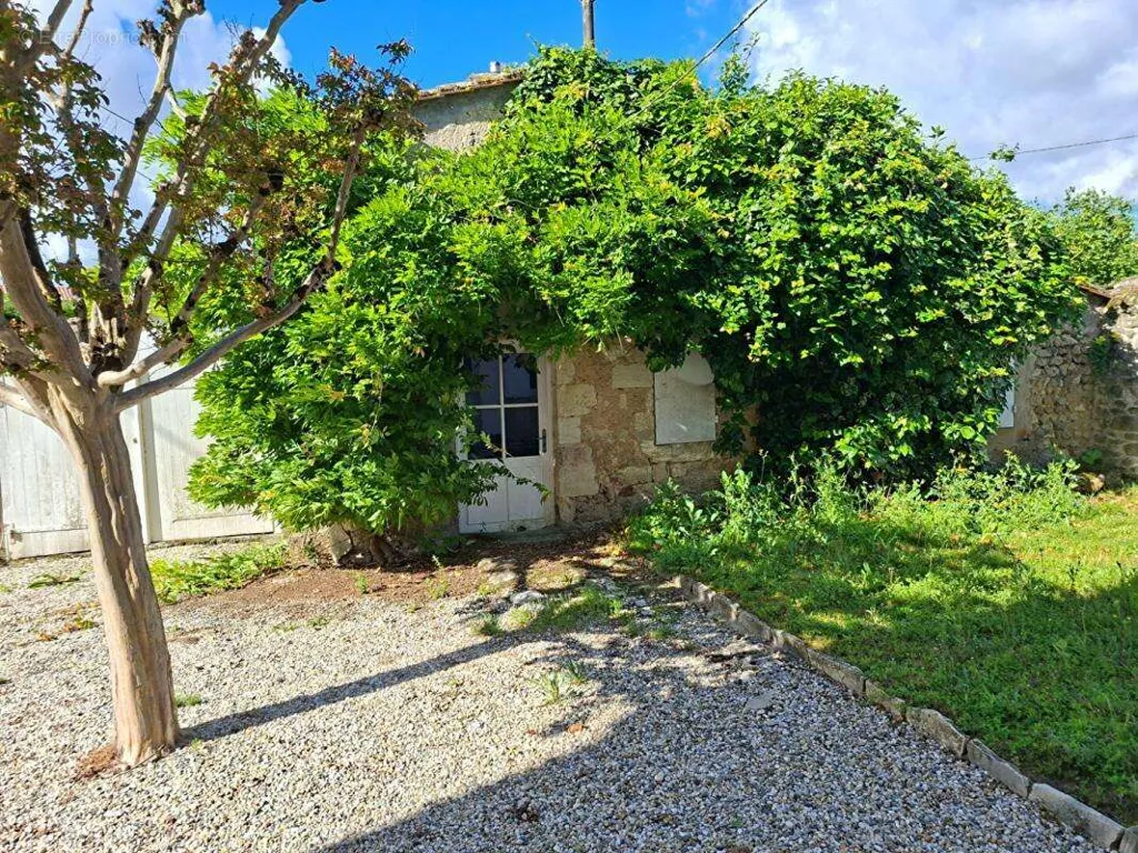 Exterior - Master House with Pool in Saint-Estèphe