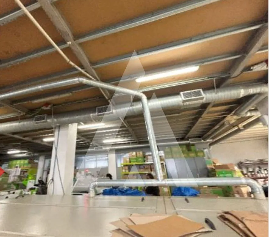 Pesuköök - Multifunctional Industrial Warehouse in Marvila, Lisbon