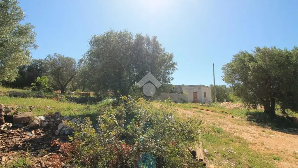 Aed - Rustic Trullo with Panoramic View in Ostuni