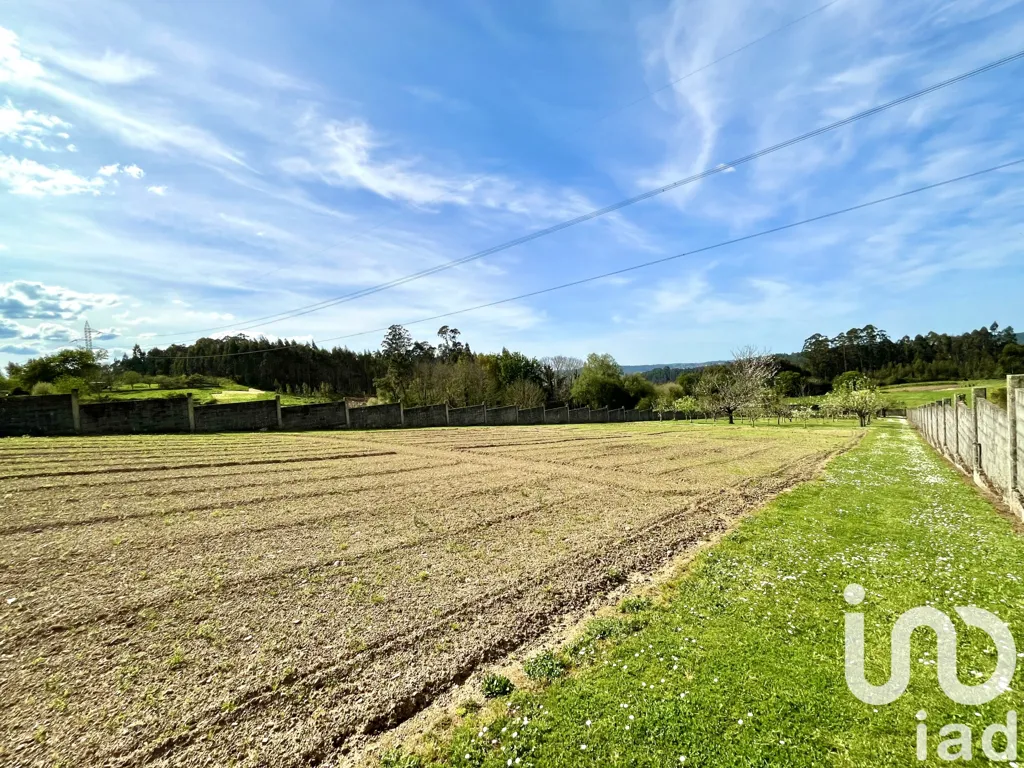 Aed - Spacious House with Extensive Garden in Coirós