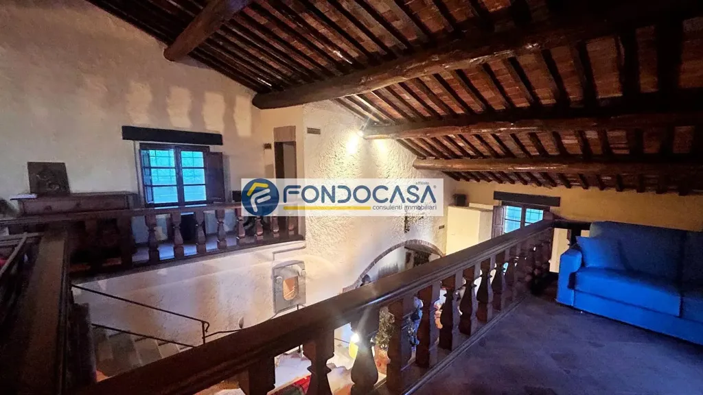 Elutuba - Historic Mill with Garden in Camaiore