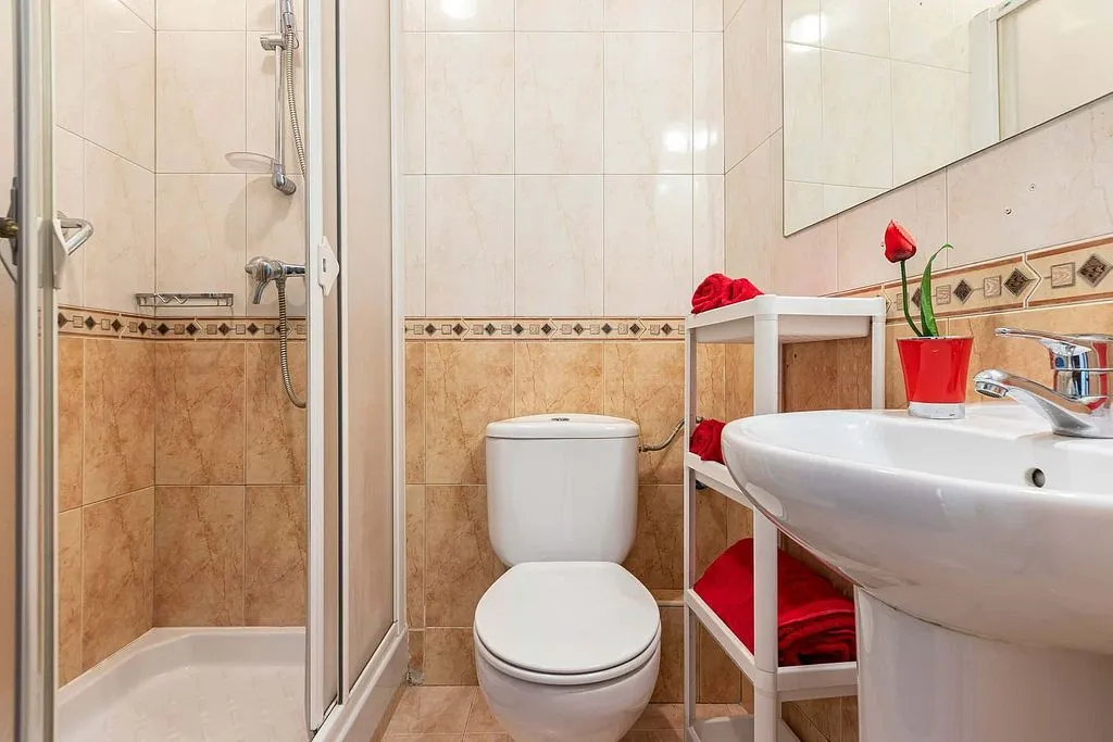 Bathrooms - Furnished Apartment with Terrace in Sol