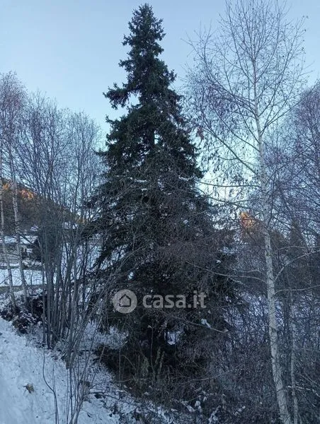 Jardin - Rustic Casale with Mountain View in Aymavilles