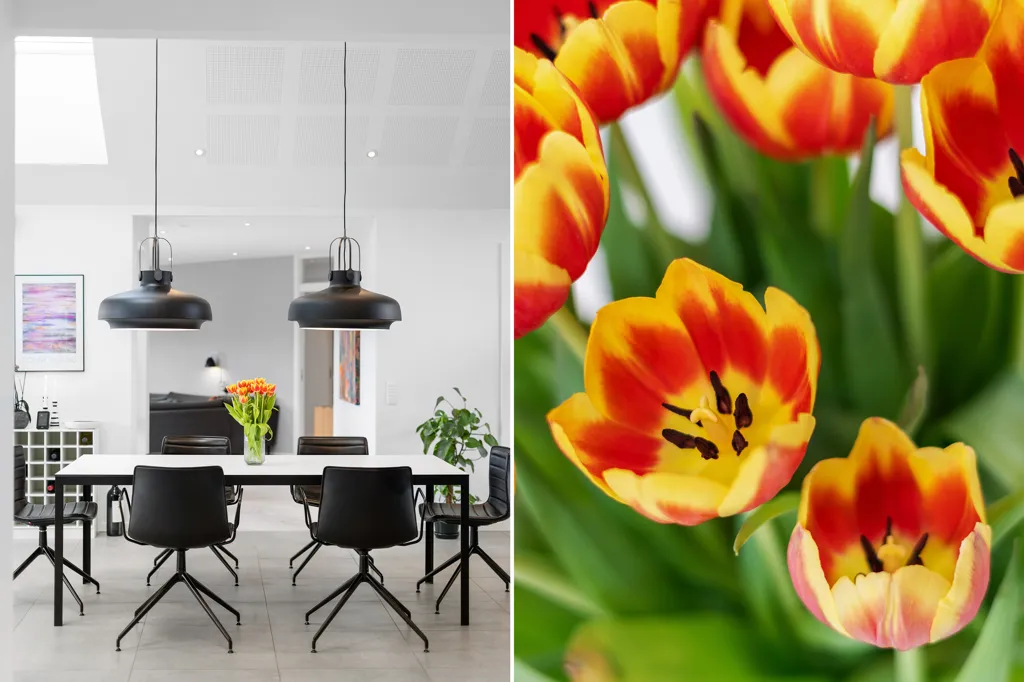 Dining Room - Architectural Villa in Hastrup