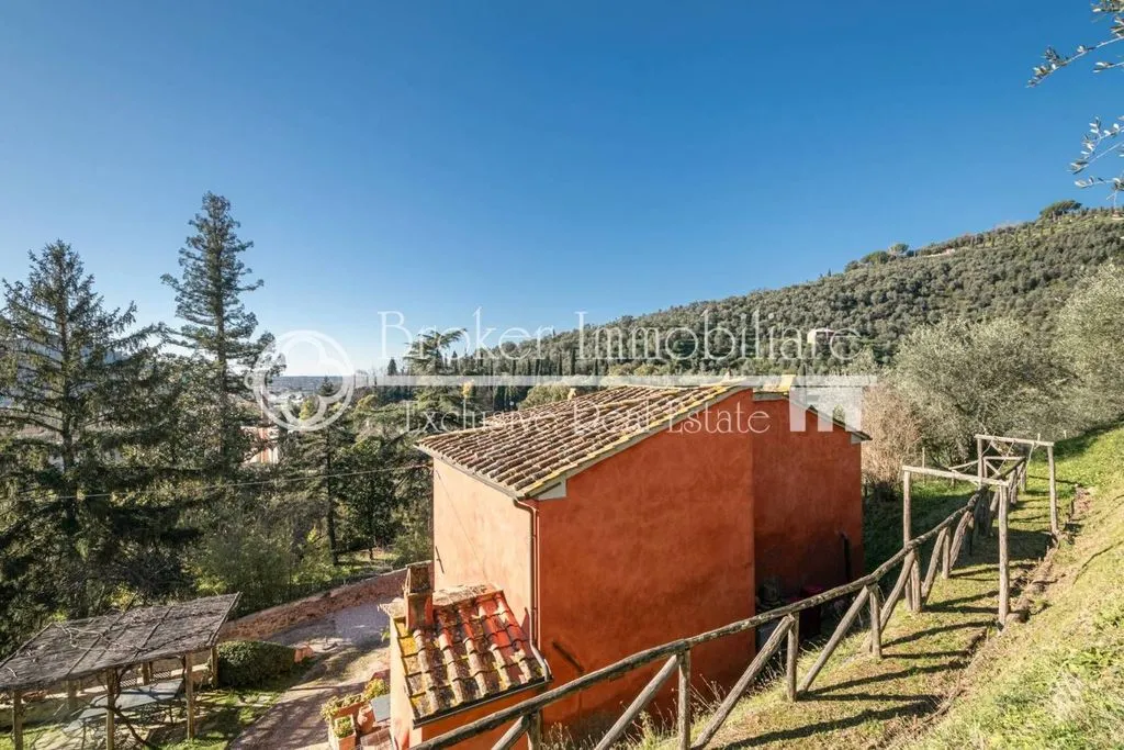 Exterior - Rustic Villa with Olive Grove in Massarosa