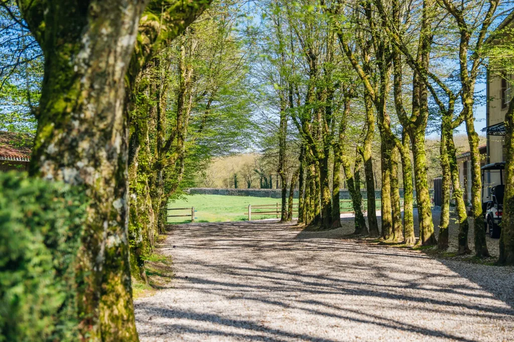 Extérieur - Château du XVIIIe avec Domaine de 42 ha près de Nantes