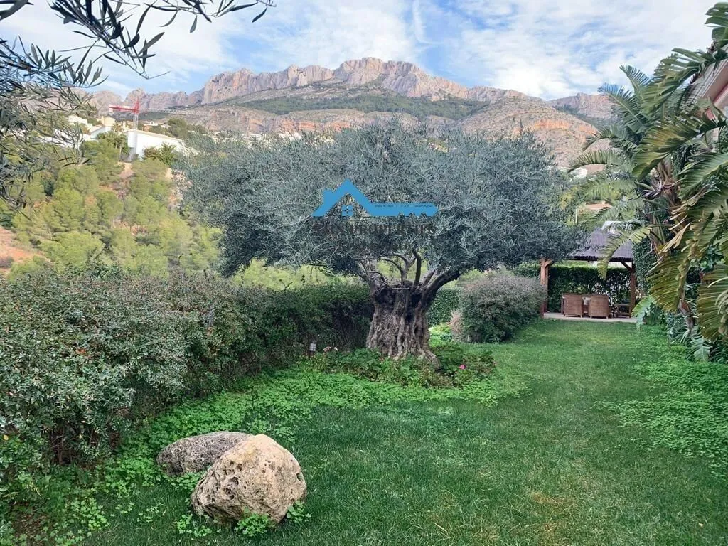 Garden - Luxury Villa with Sea View in Altea