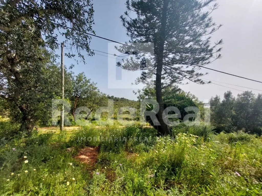 Aed - Luxury Villa with Panoramic Views in Cerro do Lobo