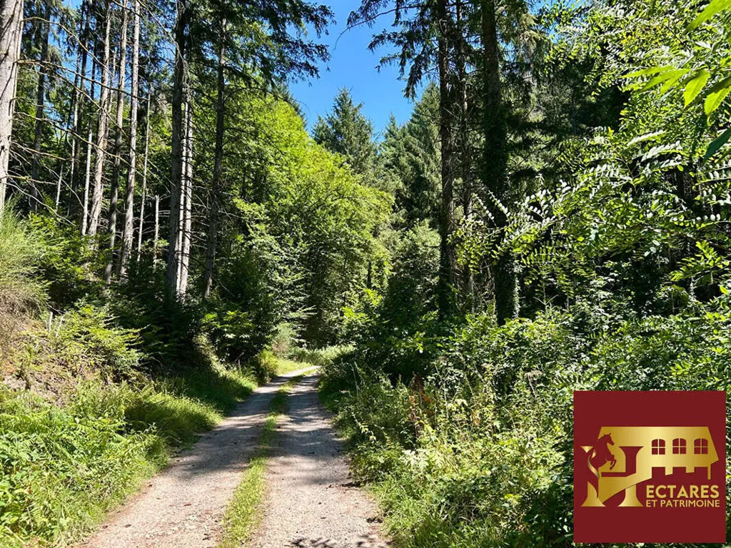 Aed - Historic House with Dominant View in Burgundy