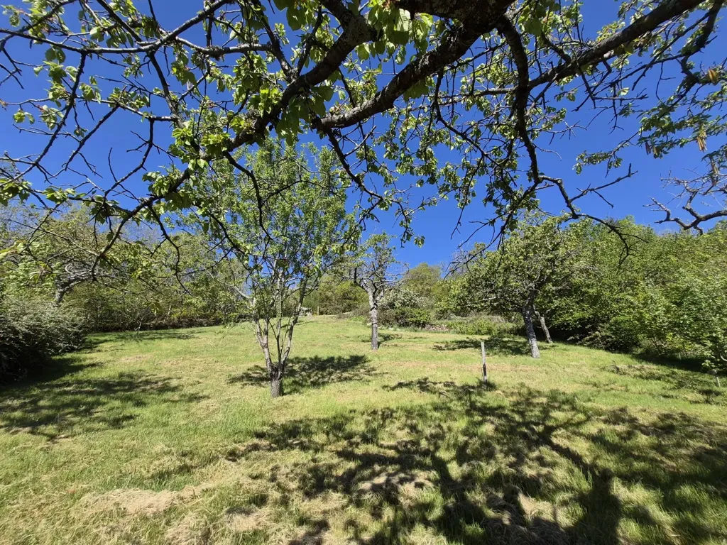 land_plot