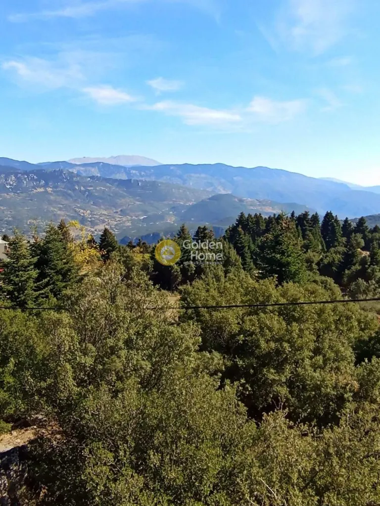 Garden - Villa with Mountain View in Amfissa