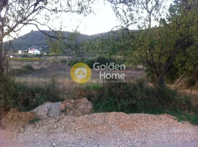 Jardin - Plot with Unrestricted View in Koskina, Dytos