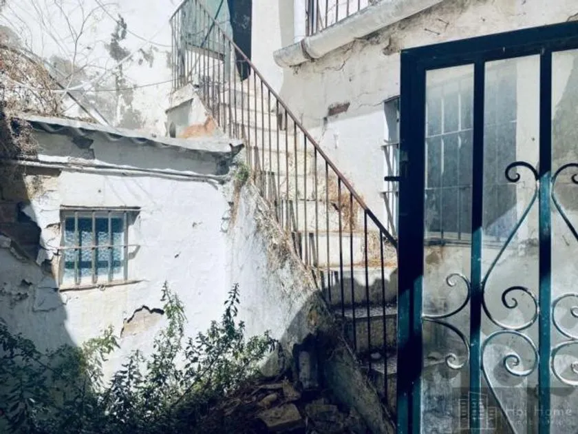 Toad - Renovated Corner House with Patios in Jerez Centre