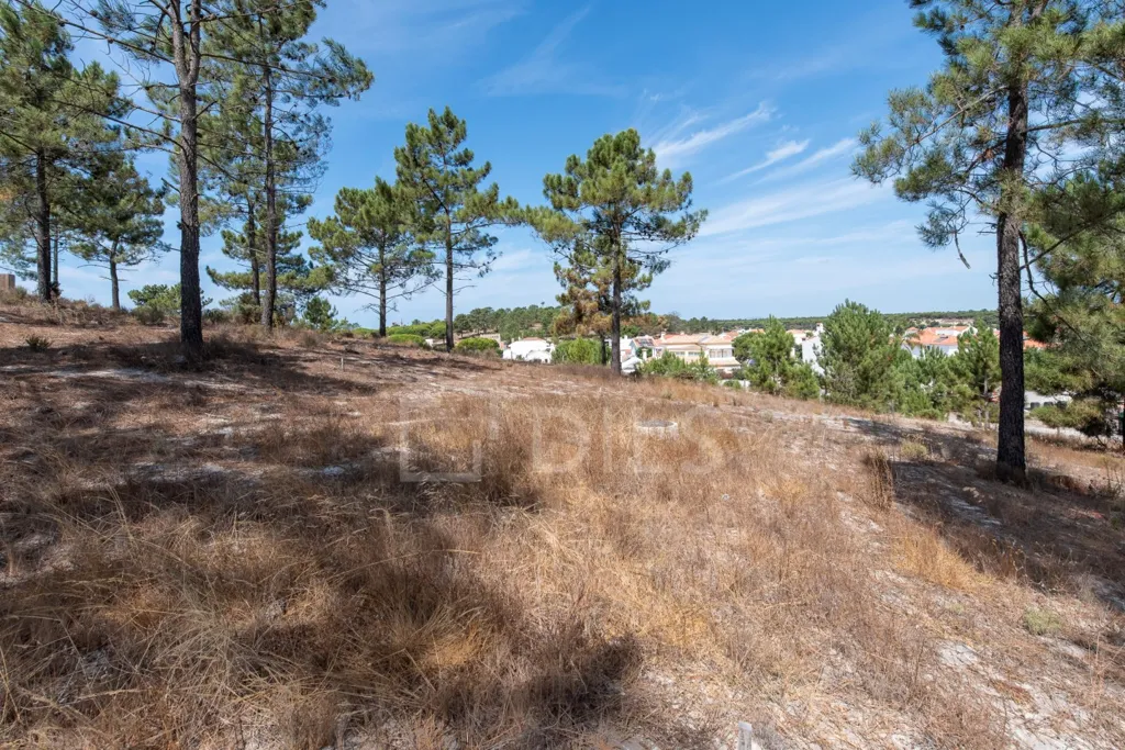 Garden - Plot with Potential for Villa in La Reserve, Carvalhal