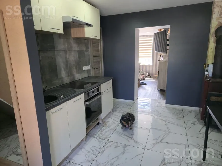 Cuisine - Two-Storey Flat with Garden in Saldus Centre