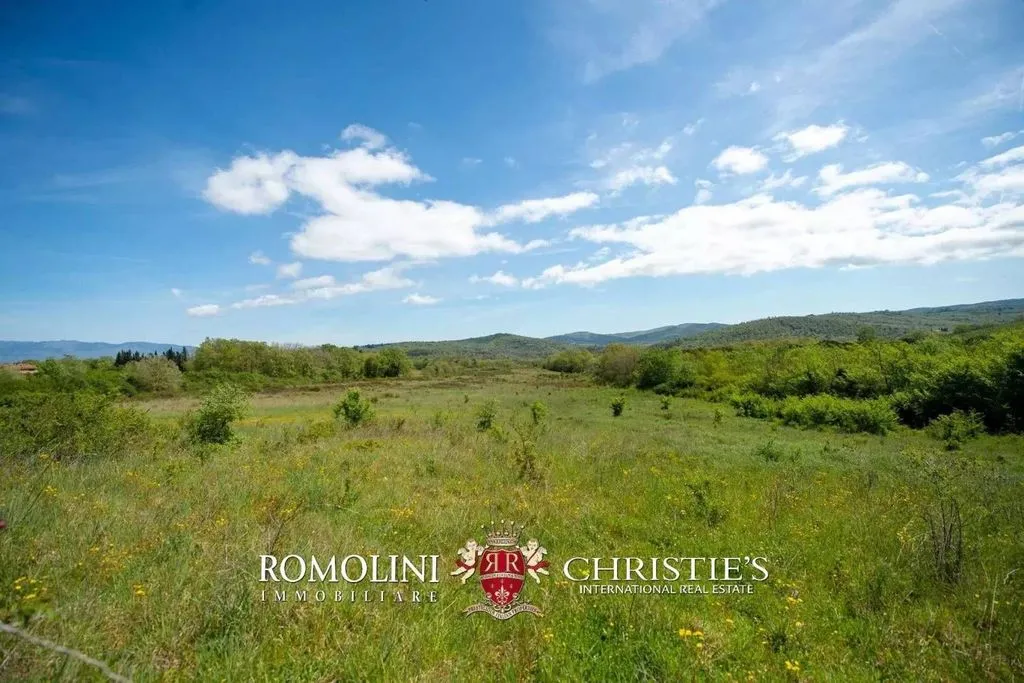 Jardin - Vineyard Estate with Chianti DOCG in Bucine