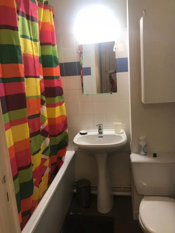Salles de bain - Appartement 1 Pièce en Centre-Ville à Saint-Étienne