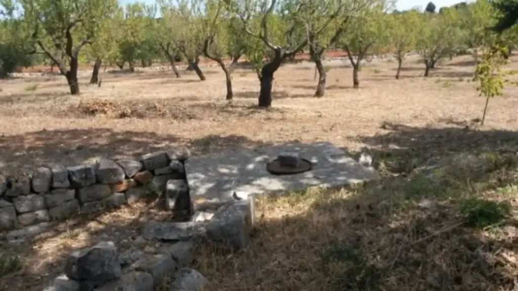 Aed - Traditional Trullo with Olive Grove in Ostuni