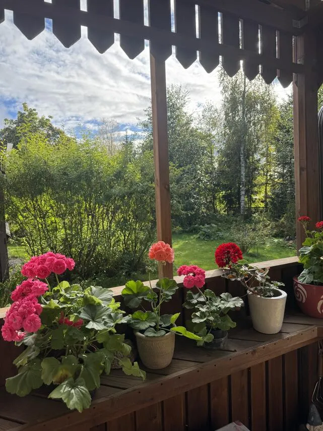 terrace_patio