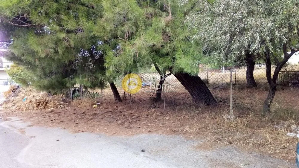Jardin - Agricultural Plot with Mountain View in Acharnes Menidi